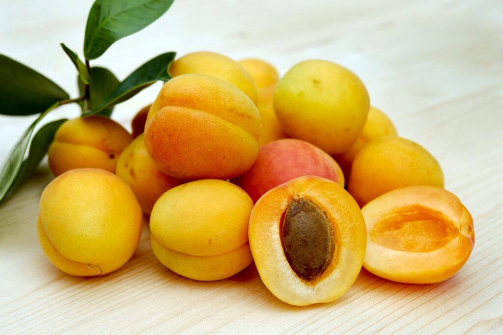 Aprikosen, Zucker Aprikosen, Obst