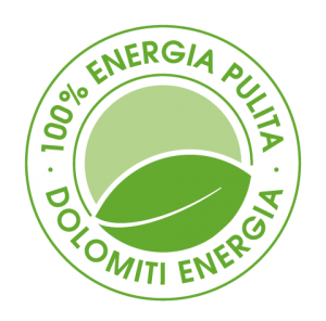 Company powered by green energy